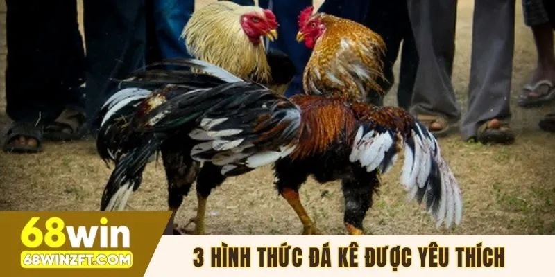 3 hình thức đá kê trực tuyến được yêu thích hàng đầu