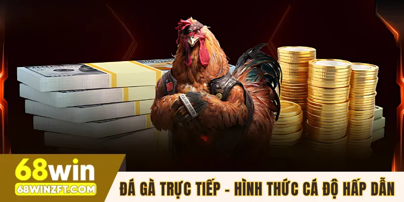 Đá gà trực tiếp tại 68WIN