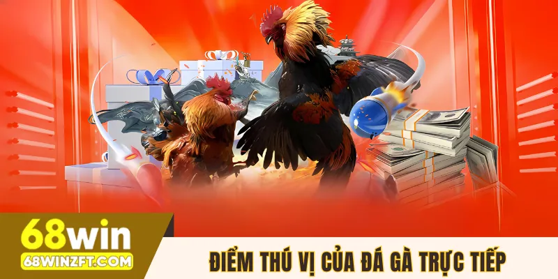 Điểm thú vị làm nên sức hút của đá gà trực tiếp 
