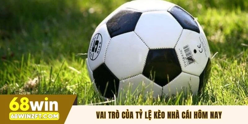 Vai trò của tỷ lệ kèo nhà cái hôm nay